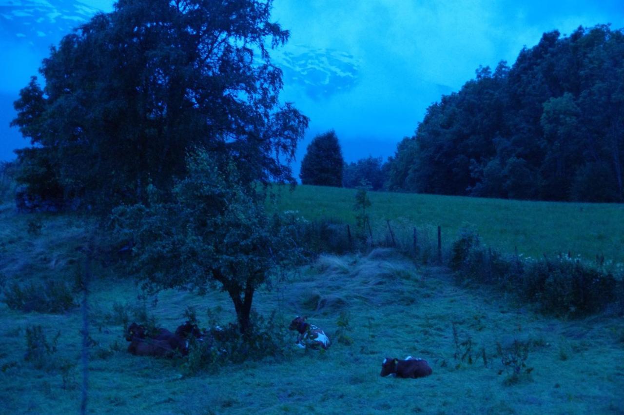 Orheimstunet - Gardsferie For Storfamilien Der Ogsa Hunden Er Velkommen Starheim Kültér fotó